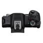 Preview: Canon EOS R50 Body