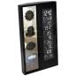 Preview: Technoline WS 6650