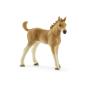 Preview: Schleich Horse Club        42432 Sarahs Tierbaby-Pflege