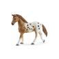Preview: Schleich Horse Club       42433 Lisas Turnier-Training