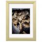 Preview: Hama Bella natur           15x20 Holz                       31650