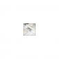 Preview: ZEP Molveno              4x10x15 Holz Galerierahmen         WW435
