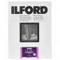 Preview: 1x100 Ilford MG RC DL  1M 10,5x14,8