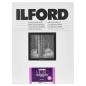 Preview: 1x100 Ilford MG RC DL  1M  10x15