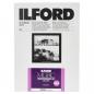 Preview: 1x 25 Ilford MG RC DL  1M  13x18