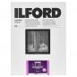 Preview: 1x100 Ilford MG RC DL  1M  18x24