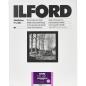 Preview: 1x 10 Ilford MG RC DL  1M  24x30