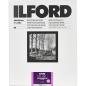 Preview: 1x 50 Ilford MG RC DL  1M  24x30