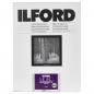 Preview: 1x100 Ilford MG RC DL 44M 10,5x14,8