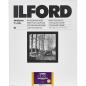 Preview: 1x 50 Ilford MG RC DL 25M  24x30