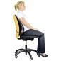 Preview: Fellowes Office Suites Netz Rückenstütze