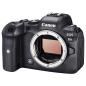 Preview: Canon EOS R6 Body