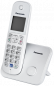 Preview: Panasonic KX-TG6811GS perlsilber