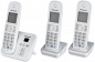 Preview: Panasonic KX-TG6823GS perlsilber