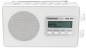 Preview: Panasonic RF-D 10 EG-W weiss
