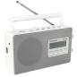 Preview: Panasonic RF-D 10 EG-W weiss