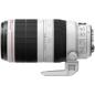 Preview: Canon EF 4,5-5,6/100-400 L IS II USM