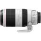Preview: Canon EF 4,5-5,6/100-400 L IS II USM