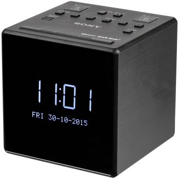 Sony XDR-C1DBP silber / schwarz