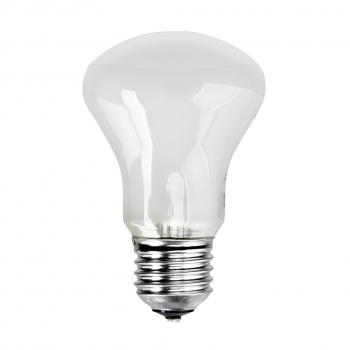 Elinchrom Einstellampe 196V/100W E 27