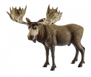 Schleich Wild Life         14781 Elch Bulle