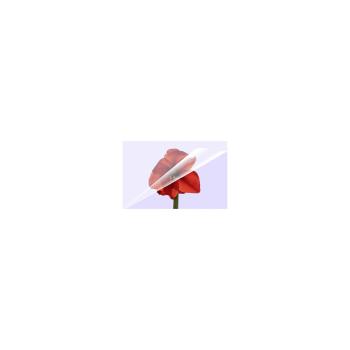 1x100 Olympia Laminierfolien DIN A6 80 micron            9168