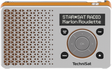 Technisat DigitRadio 1 silber/orange