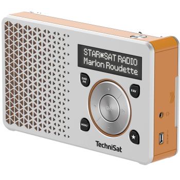 Technisat DigitRadio 1 silber/orange