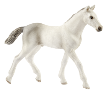 Schleich Horse Club        13860 Holsteiner Fohlen