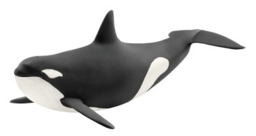 Schleich Wild Life         14807 Orka