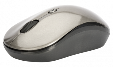 ednet Kabellose Notebook Maus 24 GHz