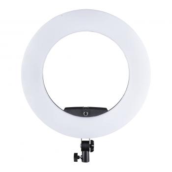 walimex pro Medow 960 Pro Bi Color Ringleuchte
