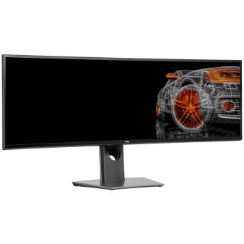 Dell U4919DW