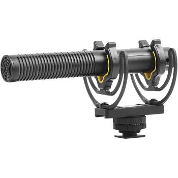 Deity V-Mic D3