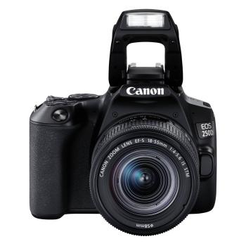 Canon EOS 250D Kit schwarz + EF-S 18-55 IS STM