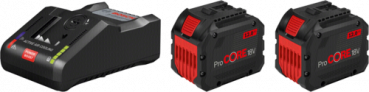 Bosch 2x ProCORE 18V Akku 12.0Ah + GAL 18V-160