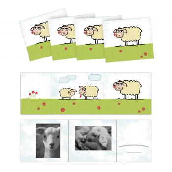 1x25 Daiber "Schaf"        13x18 Kinder Portraitmappen      13325