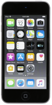 Apple iPod touch space grey 7. Generation 256GB