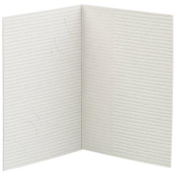 1x100 Daiber Passbildmappen grau für 3 Bildformate