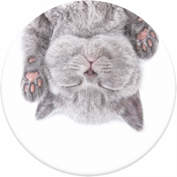 Popsockets - Cat Nap