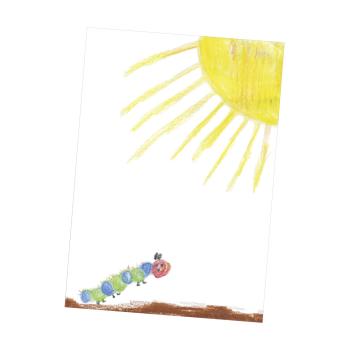 1x10 Daiber Flügelmappen Raupe für max.Bildformat 18x25cm 13411