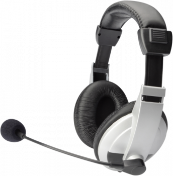 DIGITUS Stereo Multimedia Headset mit Mikrofon 1,8m