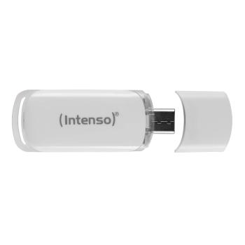 Intenso Flash Line Type-C   64GB USB Stick 3.1