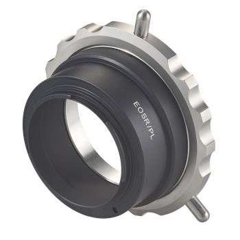 Novoflex Adapter PL-Mount Objektiv an Canon EOS-R Kamera