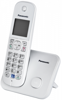 Panasonic KX-TG6811GS perlsilber