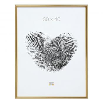 Deknudt S011A4             20x30 Kunststoff gold