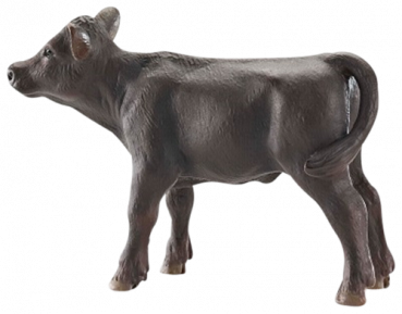 Schleich Farm Life Black Angus Kalb