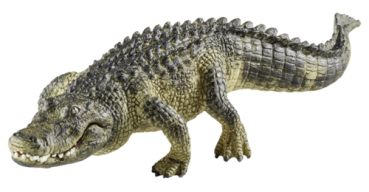 Schleich Wild Life Alligator