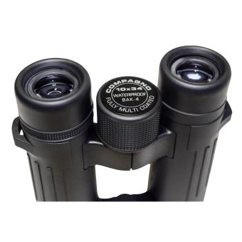 Braun Compagno          10x34 WP