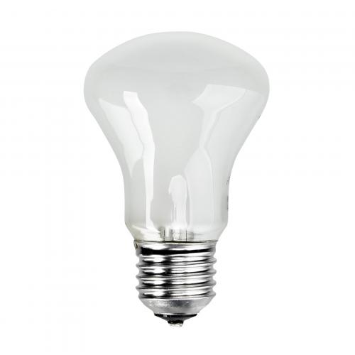 Elinchrom Einstellampe 196V/100W E 27